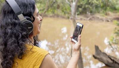 Public Art Programs & Projects