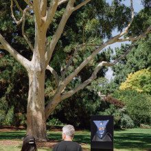 Karla Dickens, To See or Not See, exhibition installation for Queer PHOTO 2024. Image courtesy of the artist. Karla Dickens, To See or Not to See