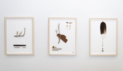 Wyndham Art Prize 2022